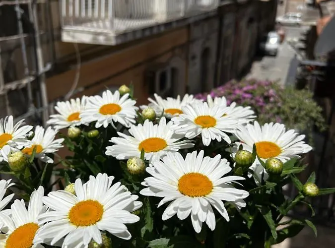 Hotiday Siracusa A'storia 3* 시라쿠사